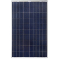 Grape Solar 1-Module 64.6-in x 39.1-in 265-Watt Solar Panel