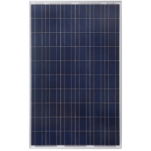 Grape Solar 1-Module 64.6-in x 39.1-in 265-Watt Solar Panel